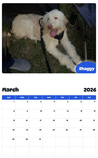 November 2025 - October 2026 Shaggy - Pawidols Pet Calendar