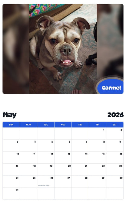 2026 - 2027 Carmel - Pawidols Pet Calendar