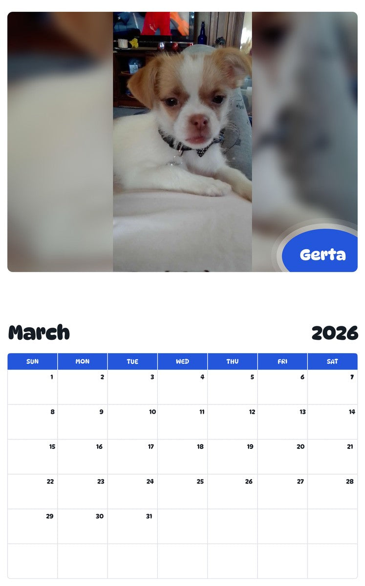 November 2025 - October 2026 Gerta - Pawidols Pet Calendar