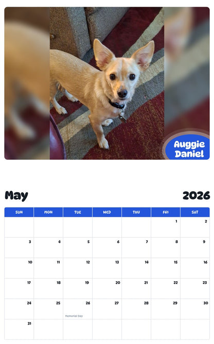 2026 - 2027 Auggie Daniel - Pawidols Pet Calendar