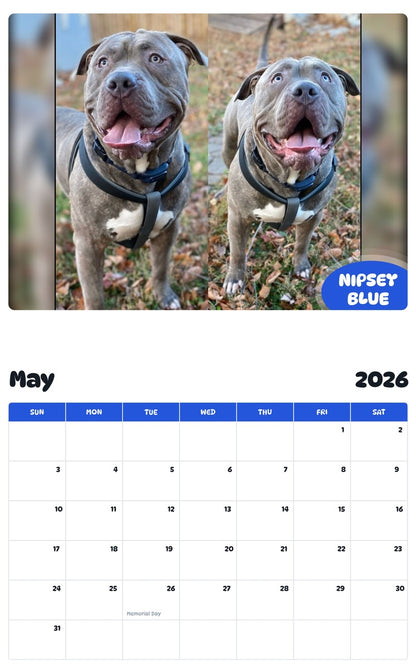 2026 - 2027 NIPSEY BLUE - Pawidols Pet Calendar