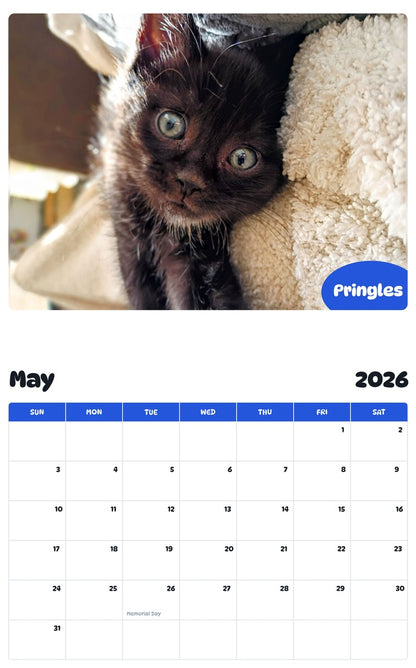 2026 - 2027 Pringles - Pawidols Pet Calendar