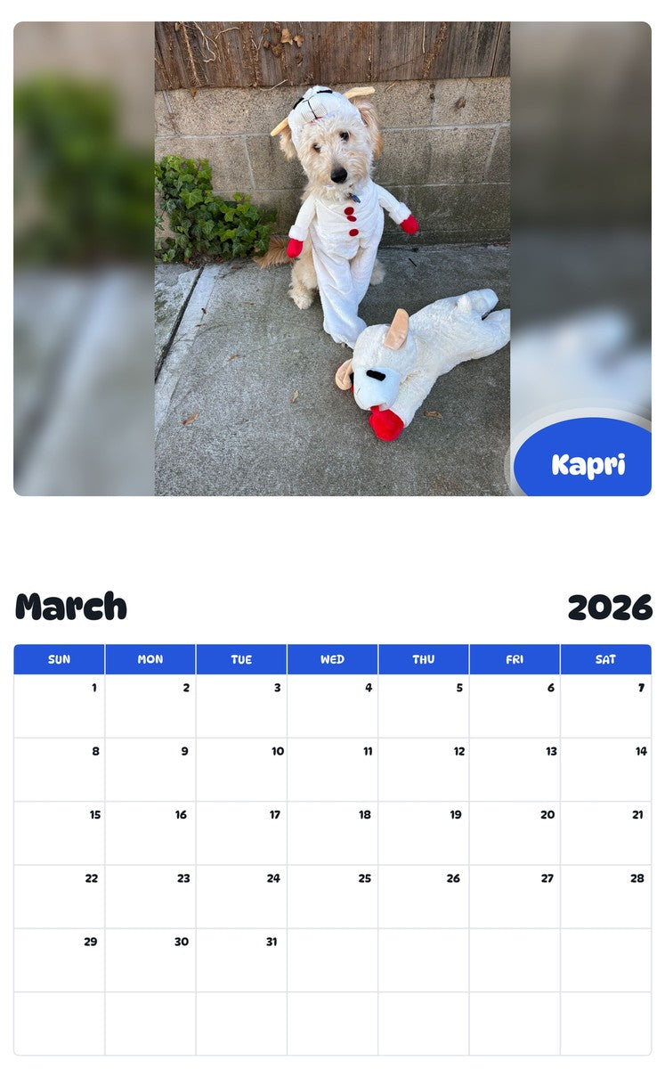 November 2025 - October 2026 Kapri - Pawidols Pet Calendar