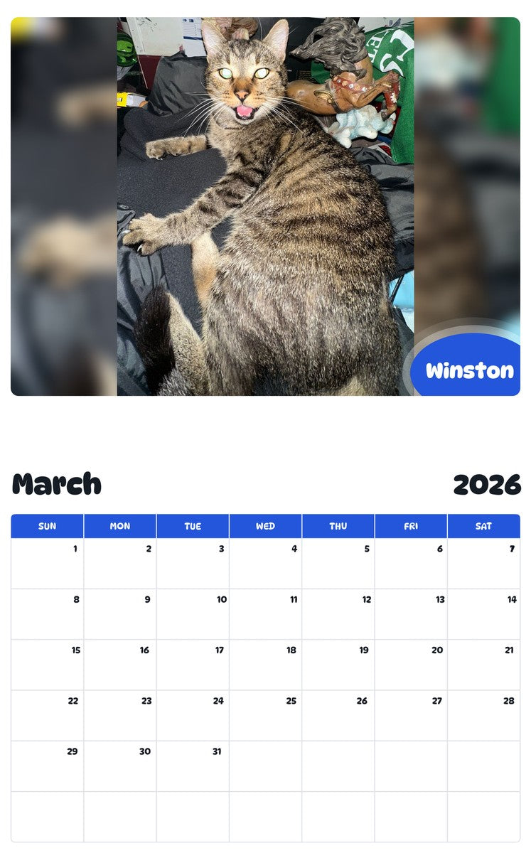 November 2025 - October 2026 Winston - Pawidols Pet Calendar