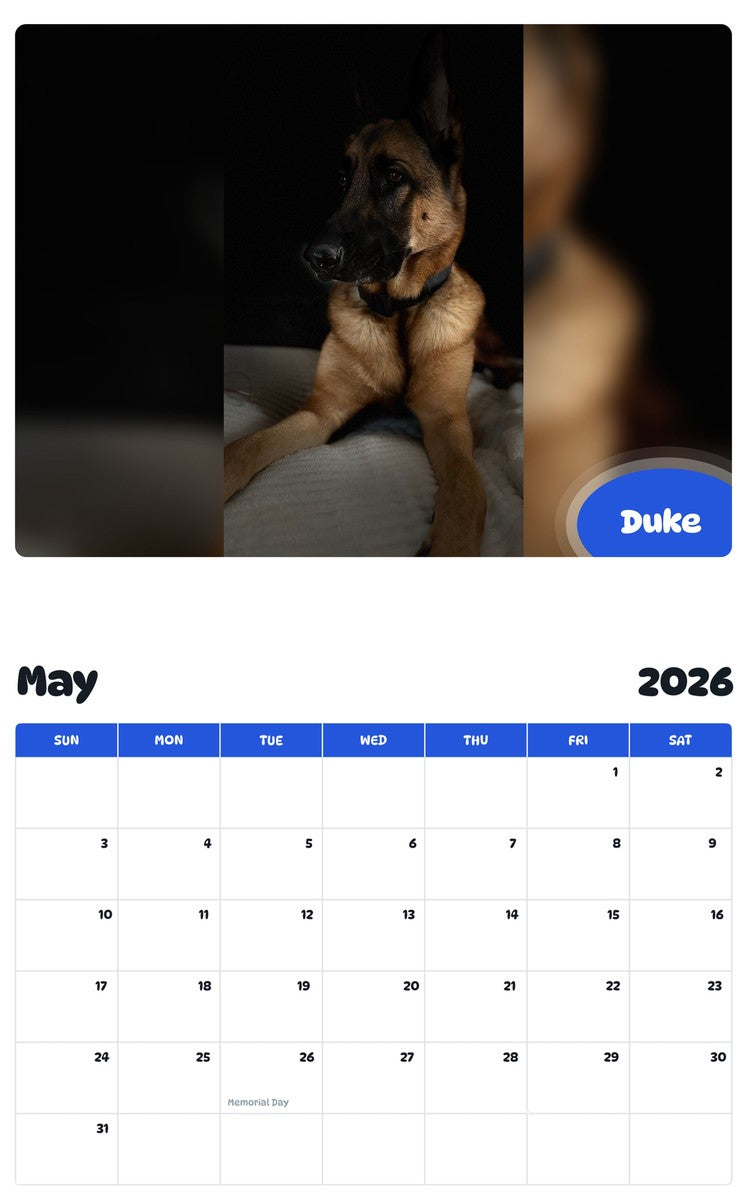 2026 - 2027 Duke - Pawidols Pet Calendar