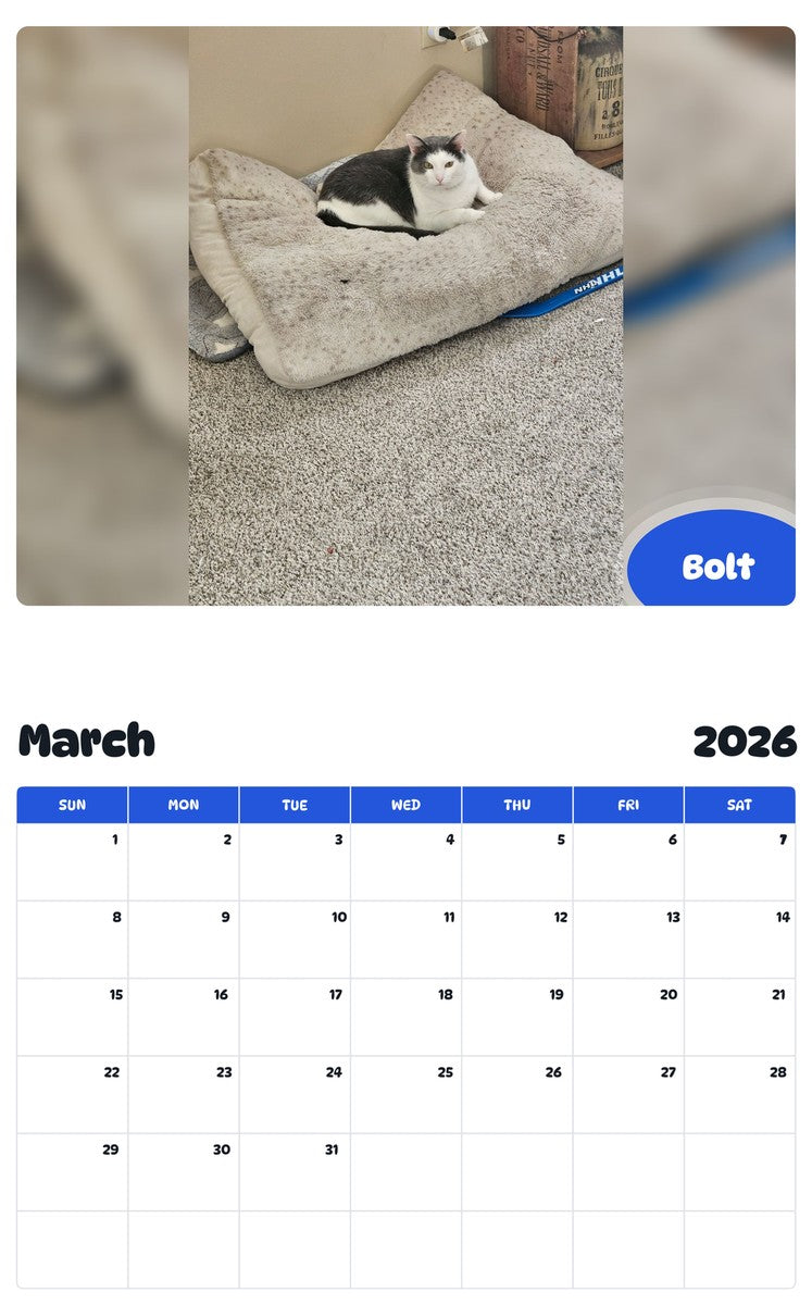 November 2025 - October 2026 Bolt - Pawidols Pet Calendar