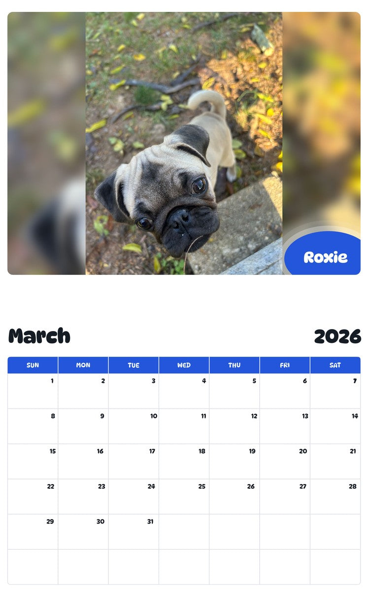 November 2025 - October 2026 Roxie - Pawidols Pet Calendar