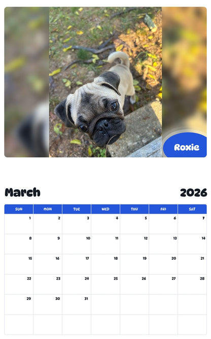 November 2025 - October 2026 Roxie - Pawidols Pet Calendar