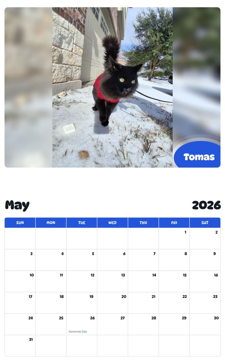 2026 - 2027 Tomas - Pawidols Pet Calendar