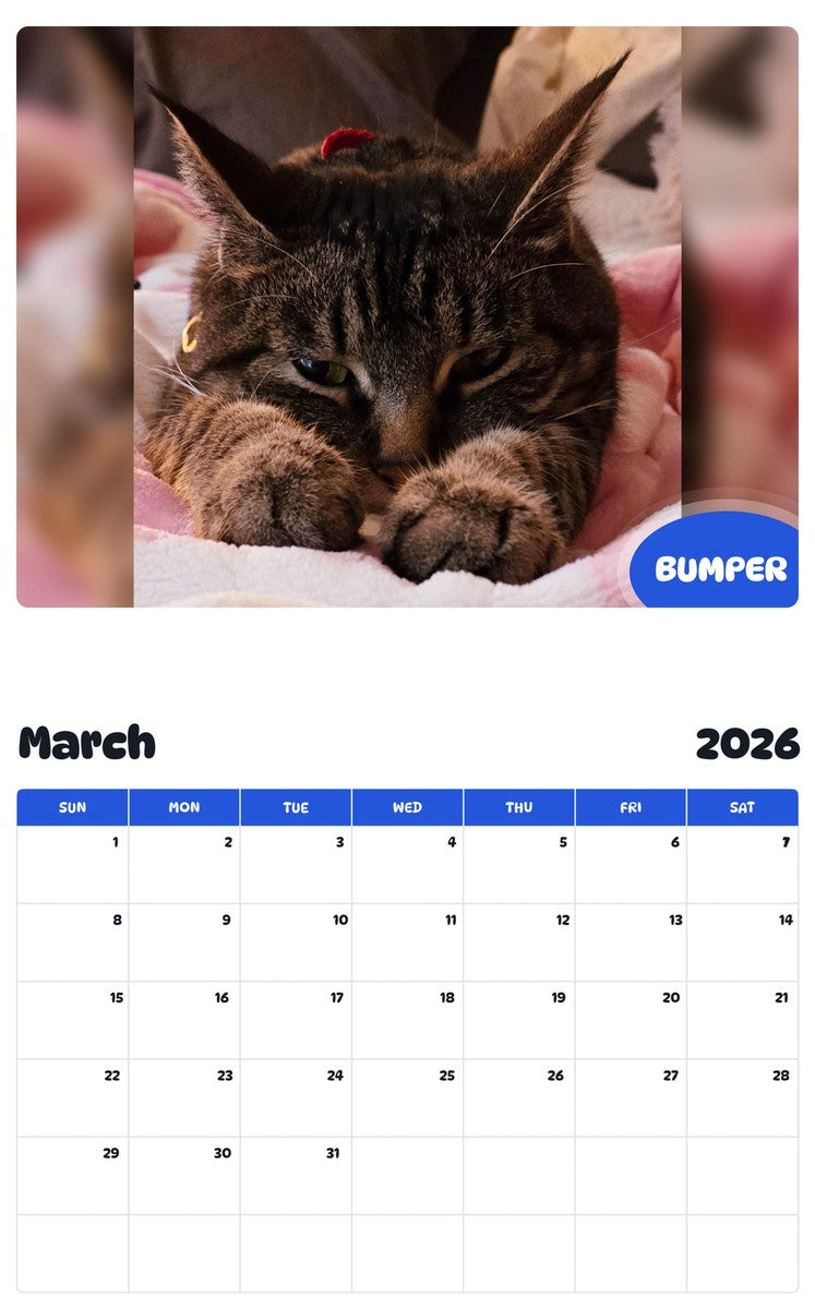 November 2025 - October 2026 BUMPER - Pawidols Pet Calendar
