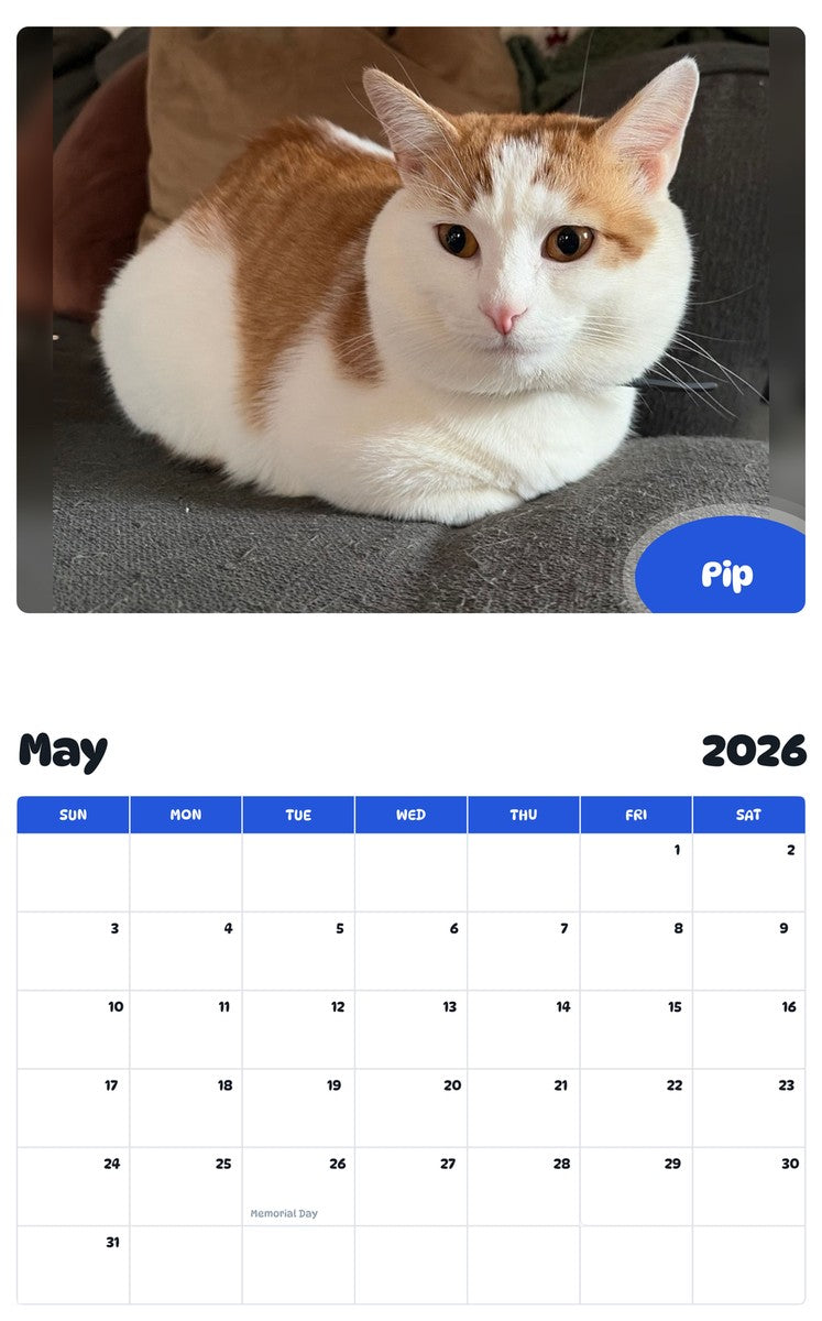 2026 - 2027 Pip - Pawidols Pet Calendar