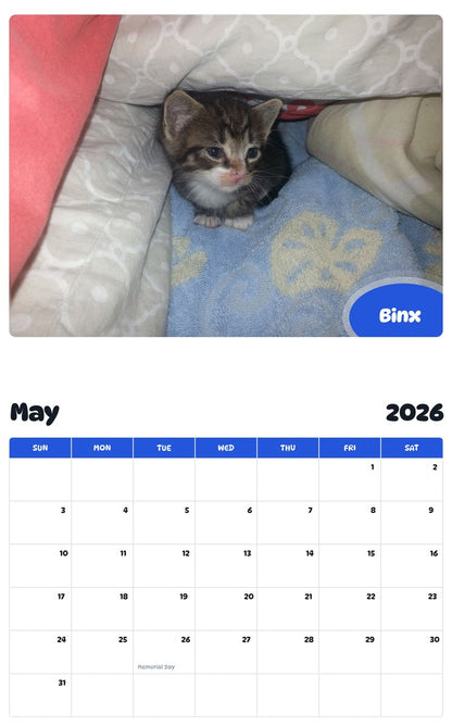 2026 - 2027 Binx - Pawidols Pet Calendar