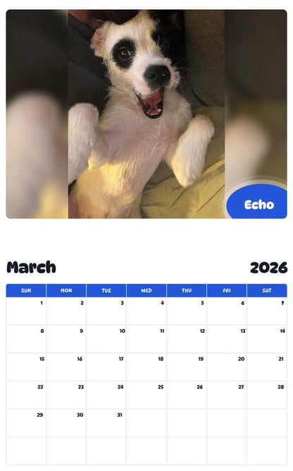 November 2025 - October 2026 Echo - Pawidols Pet Calendar