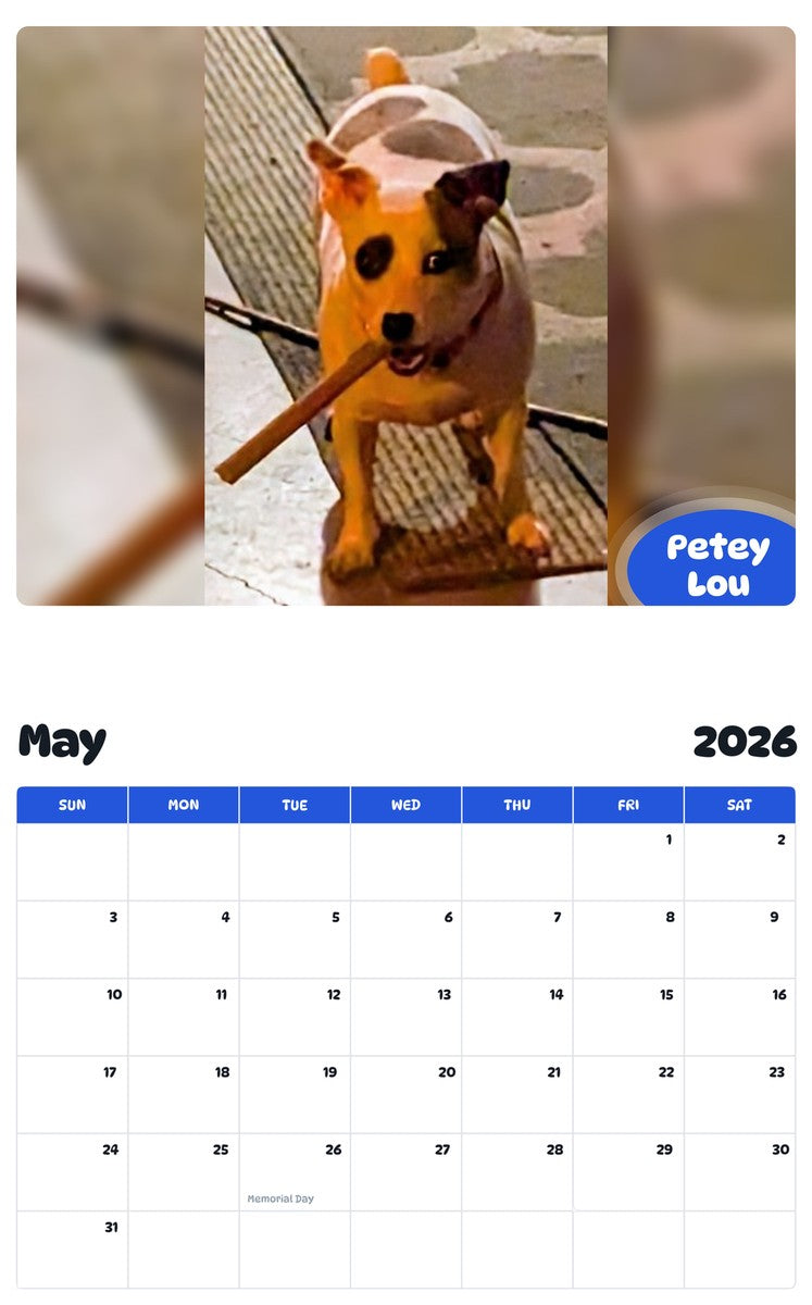 2026 - 2027 Petey Lou - Pawidols Pet Calendar