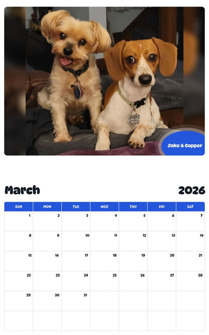 November 2025 - October 2026 Jake & Copper - Pawidols Pet Calendar