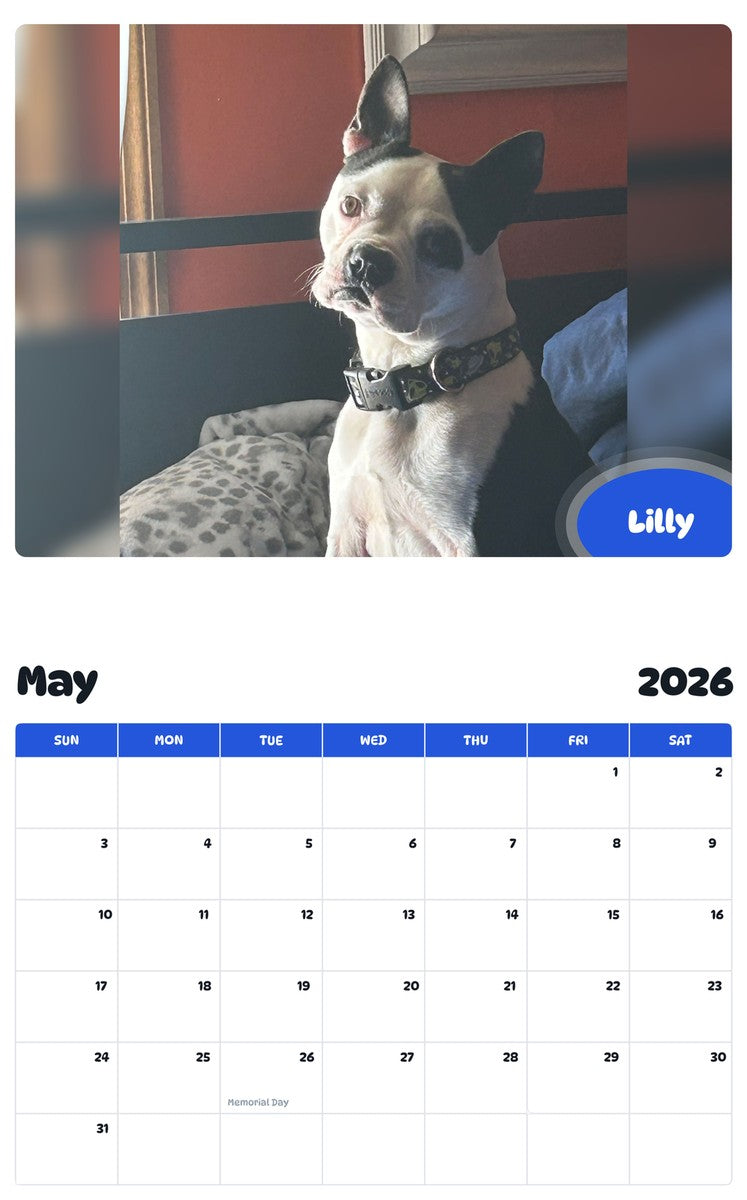 2026 - 2027 Lilly - Pawidols Pet Calendar