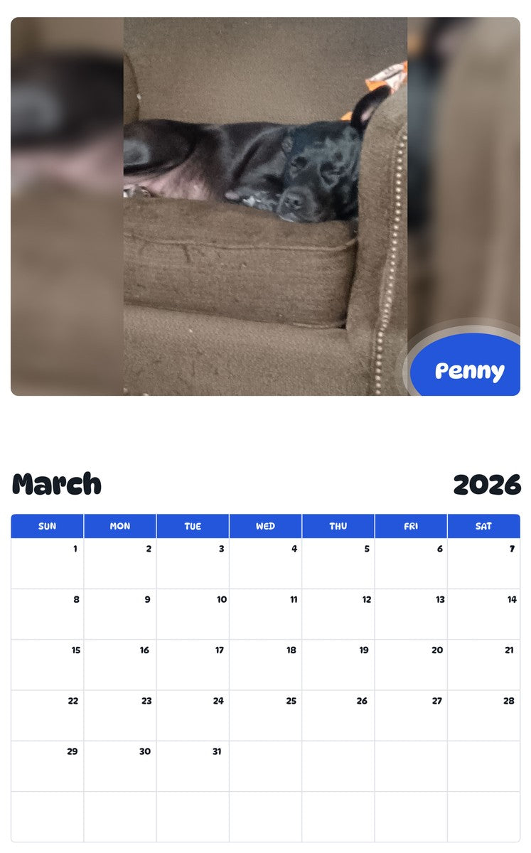 November 2025 - October 2026 Penny - Pawidols Pet Calendar