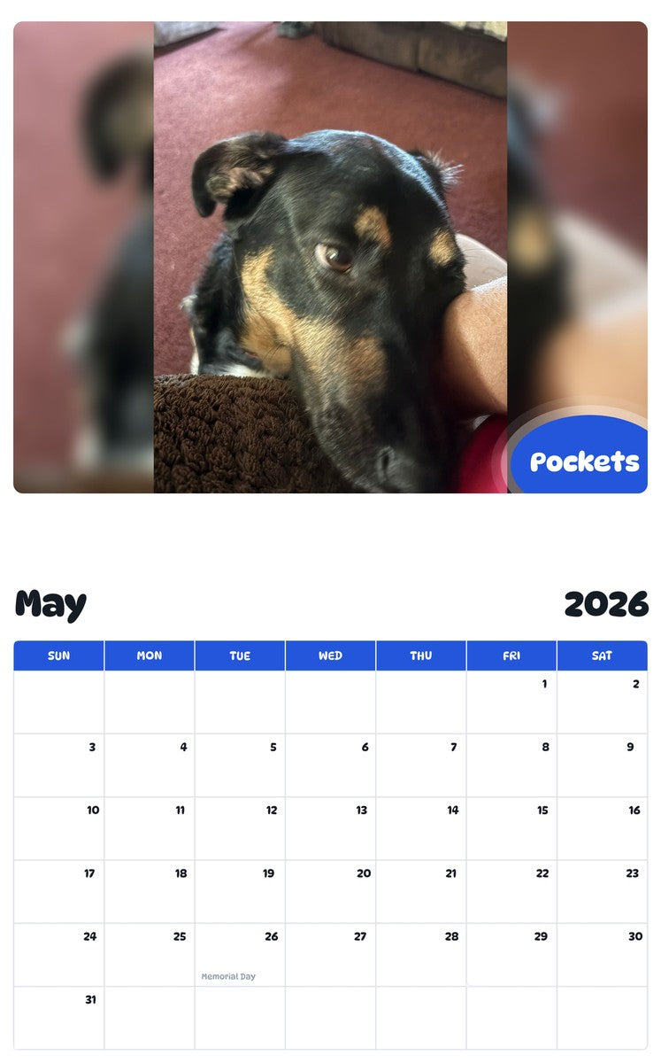 2026 - 2027 Pockets - Pawidols Pet Calendar