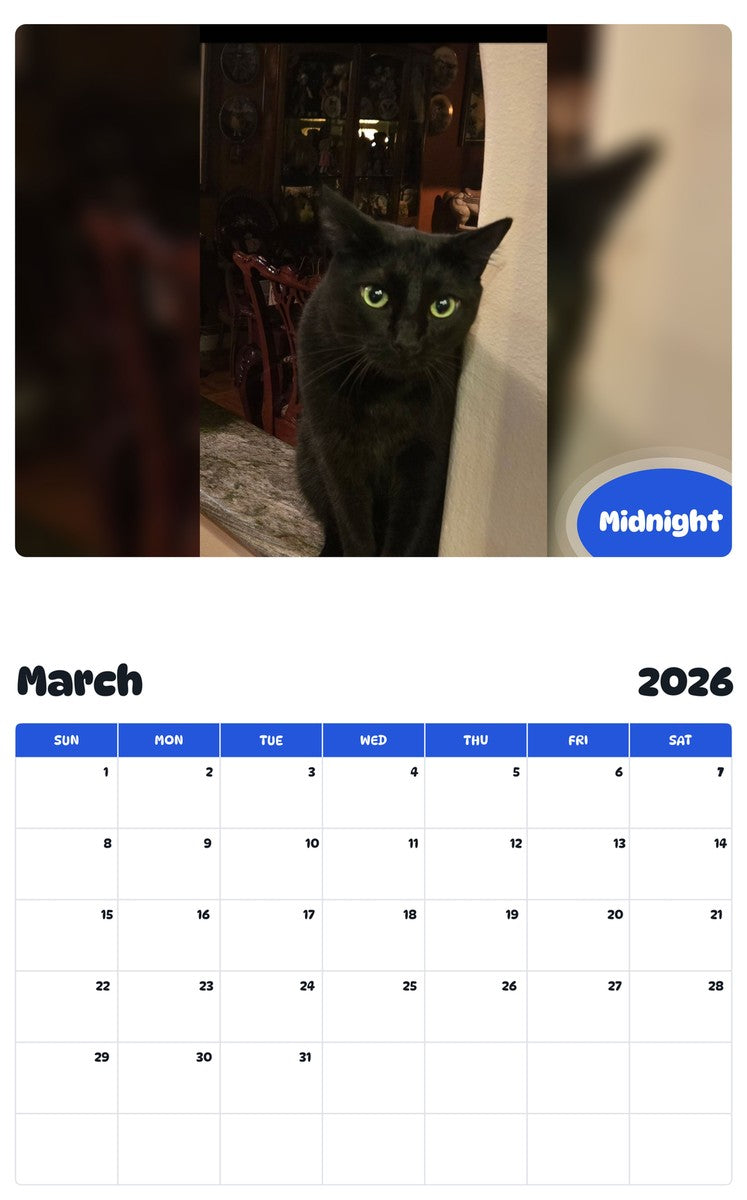 November 2025 - October 2026 Midnight - Pawidols Pet Calendar
