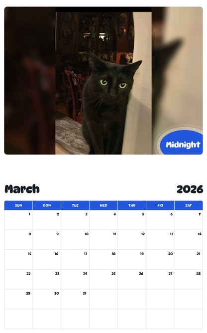 November 2025 - October 2026 Midnight - Pawidols Pet Calendar