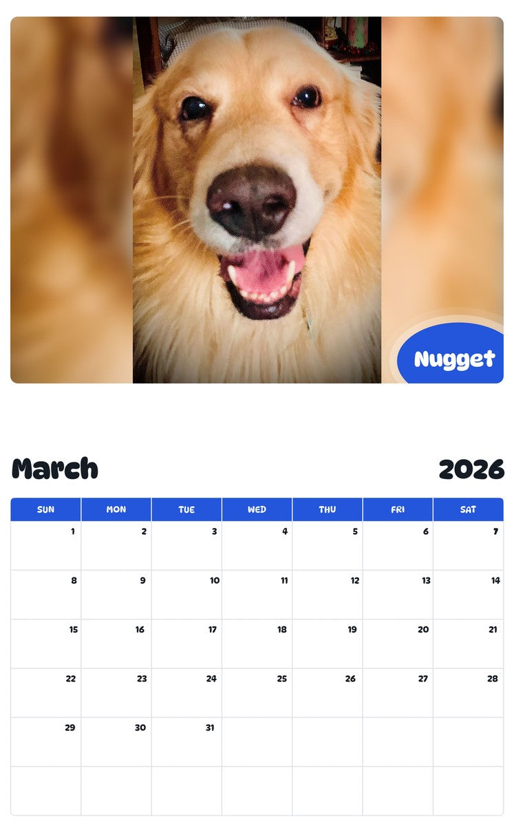 November 2025 - October 2026 Nugget - Pawidols Pet Calendar