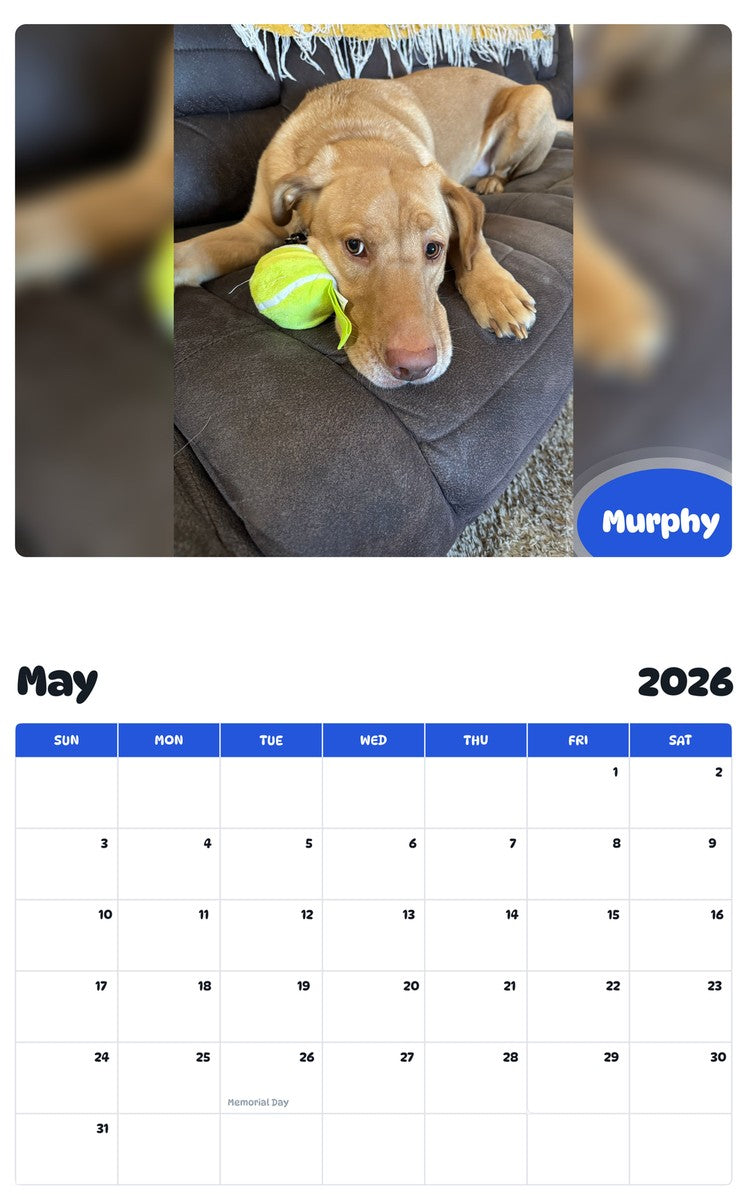 2026 - 2027 Murphy - Pawidols Pet Calendar