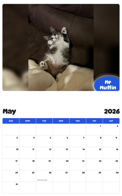 2026 - 2027 Mr Muffin - Pawidols Pet Calendar