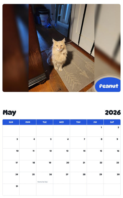 2026 - 2027 Peanut - Pawidols Pet Calendar