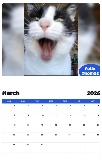 November 2025 - October 2026 Felix Thomas - Pawidols Pet Calendar