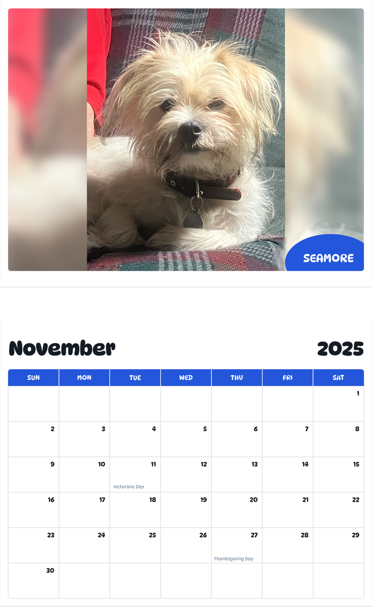 July 2025 - June 2026 Seamore - Pawidols Pet Calendar