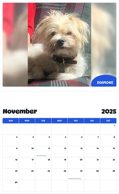July 2025 - June 2026 Seamore - Pawidols Pet Calendar