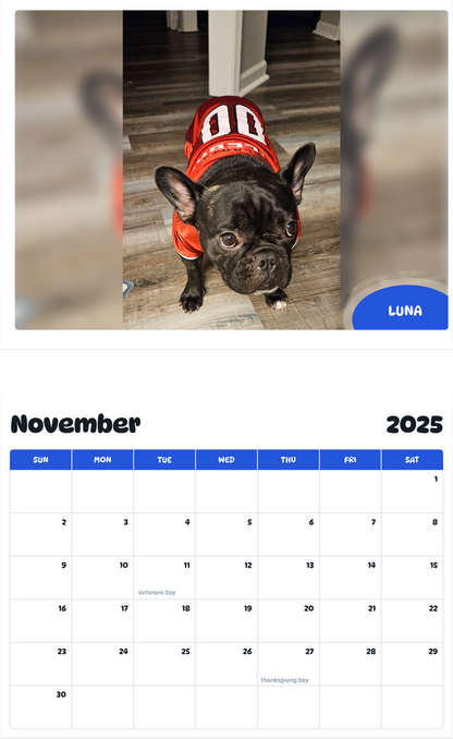 July 2025 - June 2026 Luna - Pawidols Pet Calendar