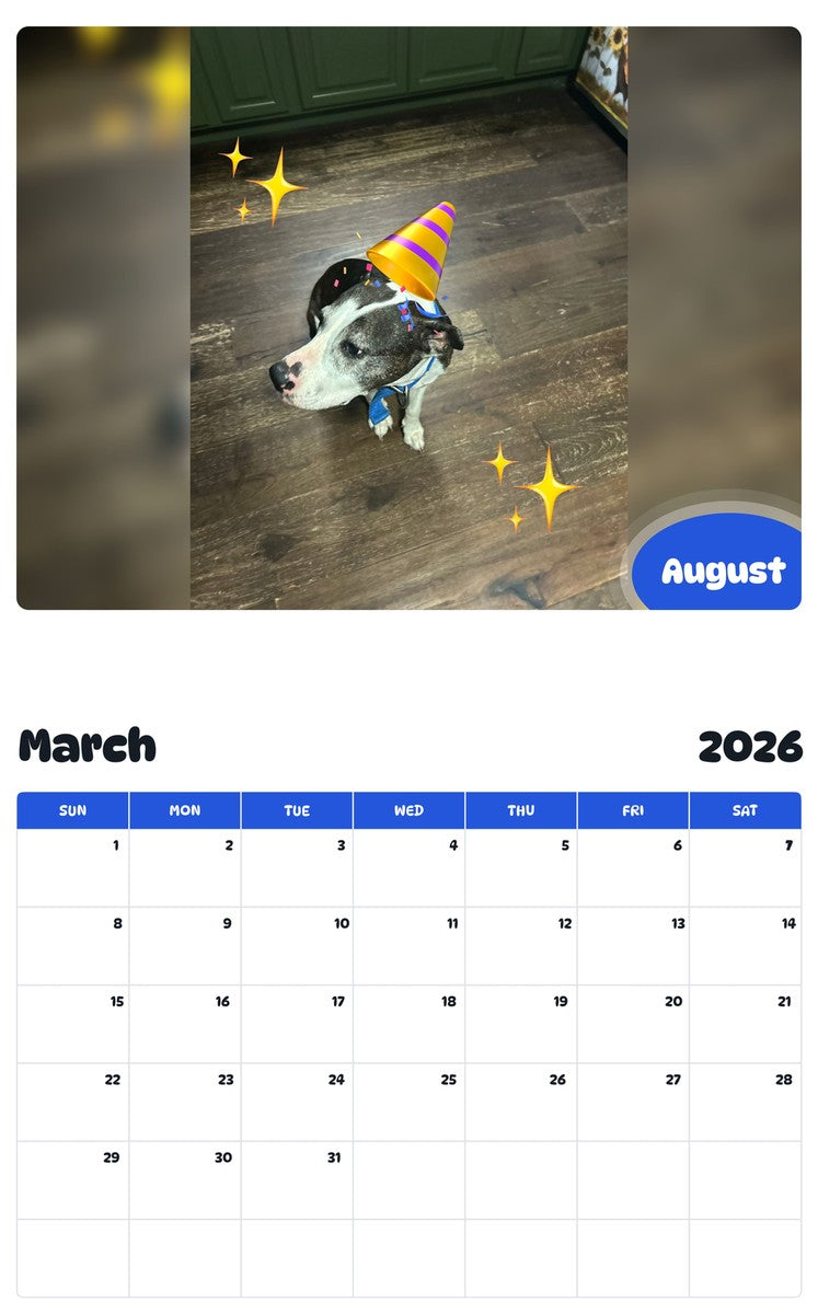 November 2025 - October 2026 August - Pawidols Pet Calendar