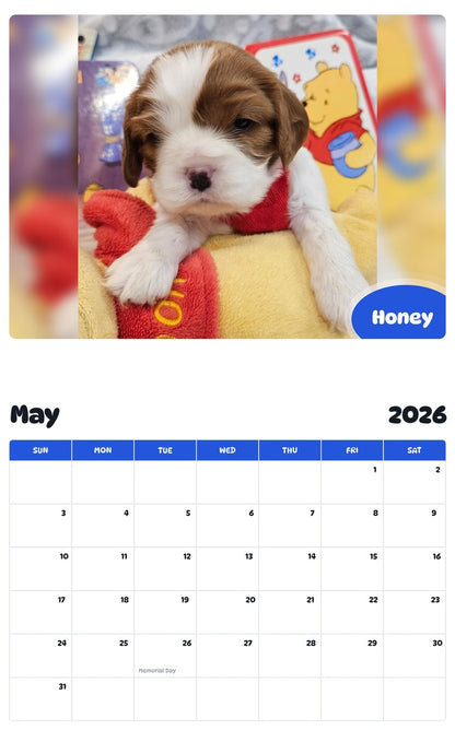 2026 - 2027 Honey - Pawidols Pet Calendar
