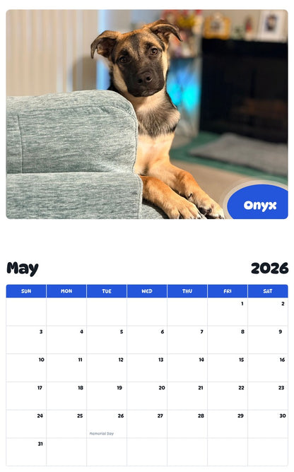 2026 - 2027 Onyx - Pawidols Pet Calendar
