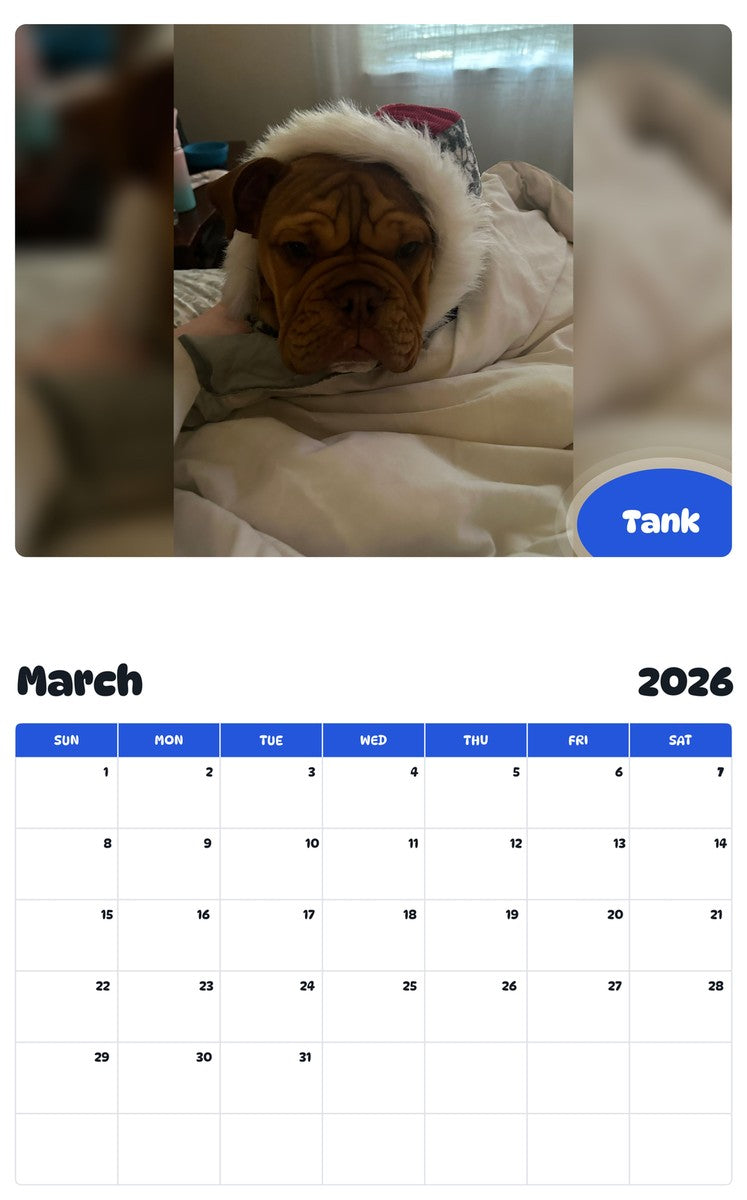 November 2025 - October 2026 Tank - Pawidols Pet Calendar