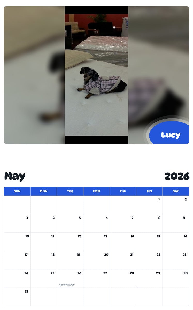 2026 - 2027 Lucy - Pawidols Pet Calendar