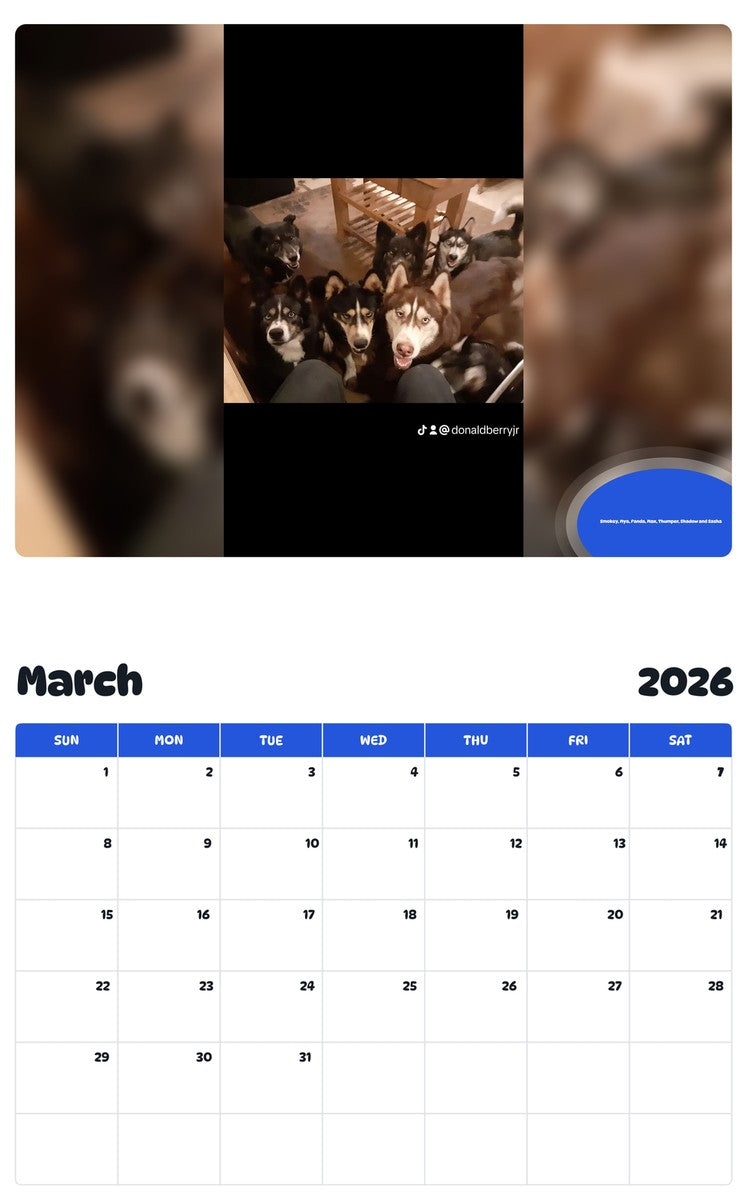 November 2025 - October 2026 Smokey, Mya, Panda, Max, Thumper, Shadow and Sasha - Pawidols Pet Calendar
