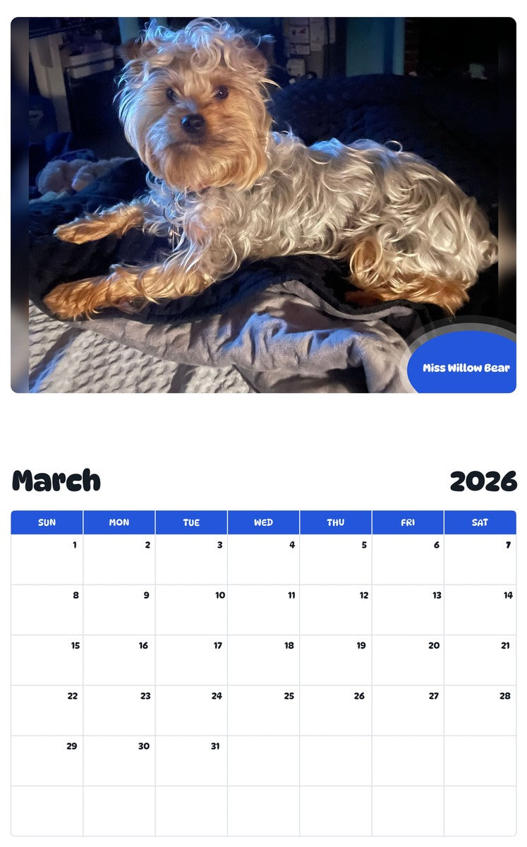 November 2025 - October 2026 Miss Willow Bear - Pawidols Pet Calendar