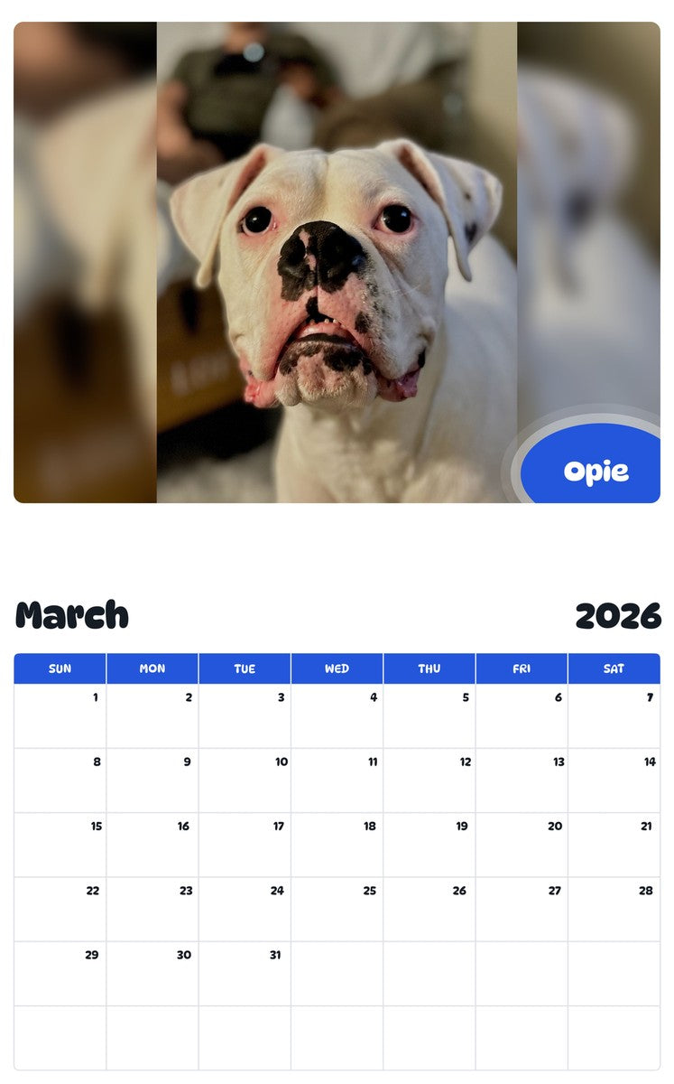 November 2025 - October 2026 Opie - Pawidols Pet Calendar