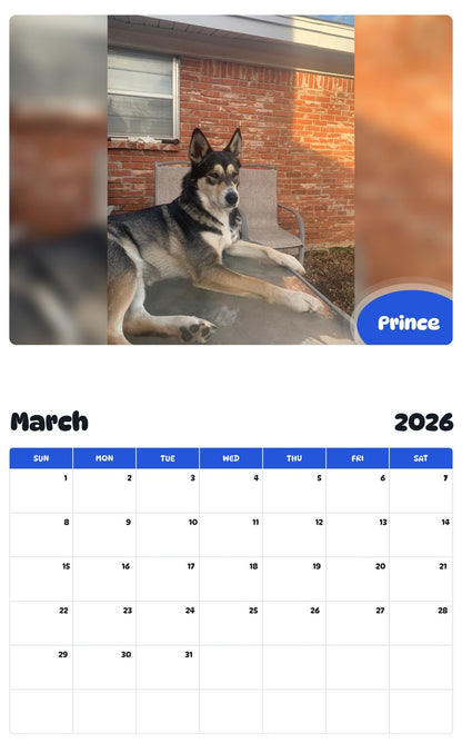 November 2025 - October 2026 Prince - Pawidols Pet Calendar
