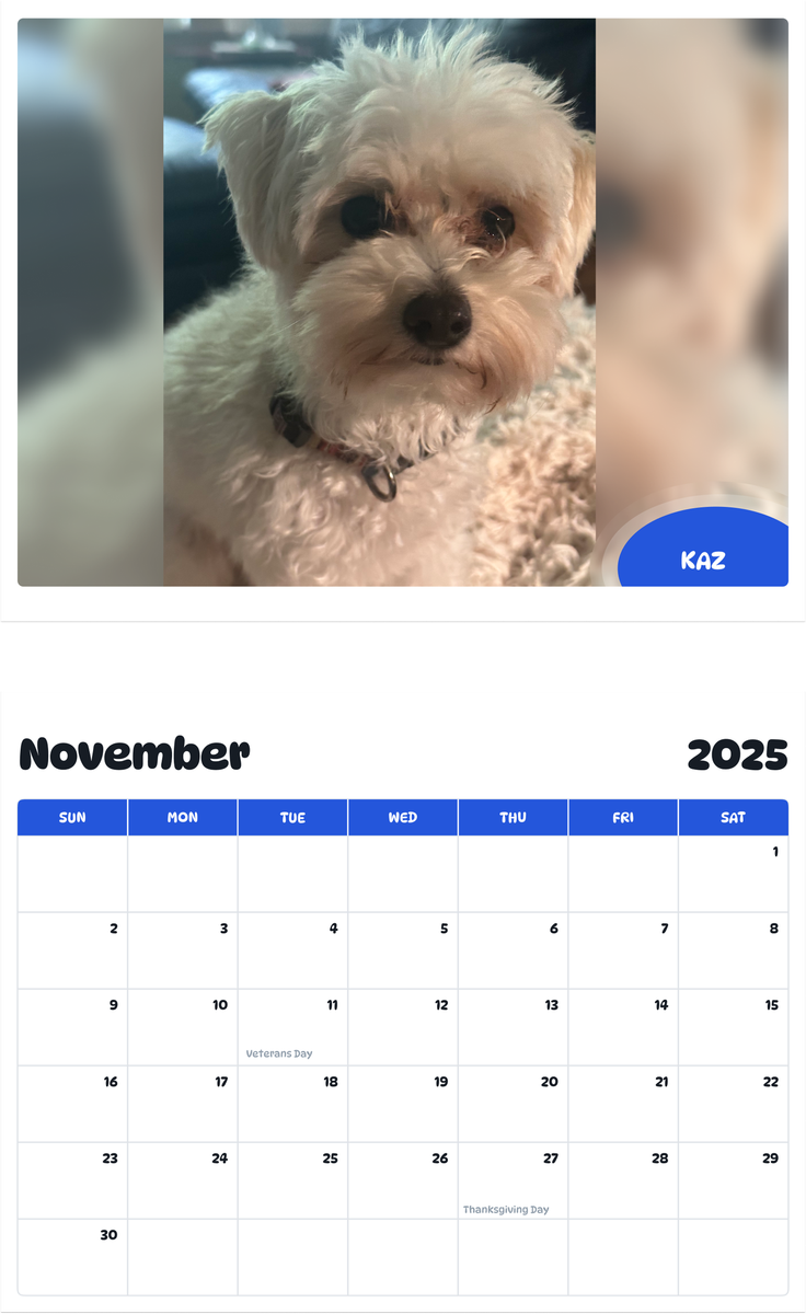 July 2025 - June 2026 Kaz - Pawidols Pet Calendar