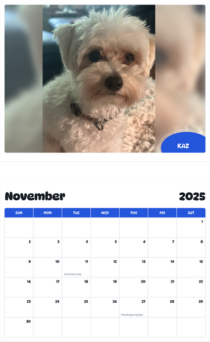July 2025 - June 2026 Kaz - Pawidols Pet Calendar