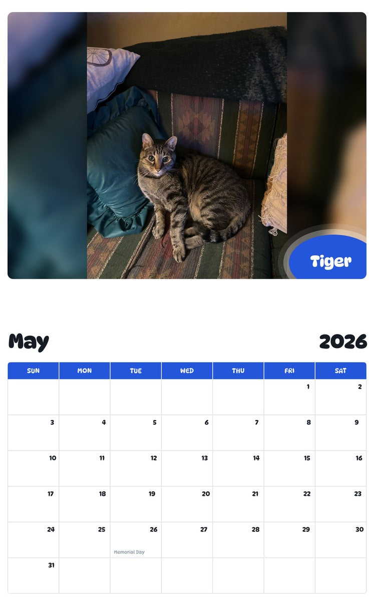 2026 - 2027 Tiger - Pawidols Pet Calendar