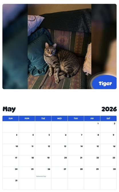 2026 - 2027 Tiger - Pawidols Pet Calendar