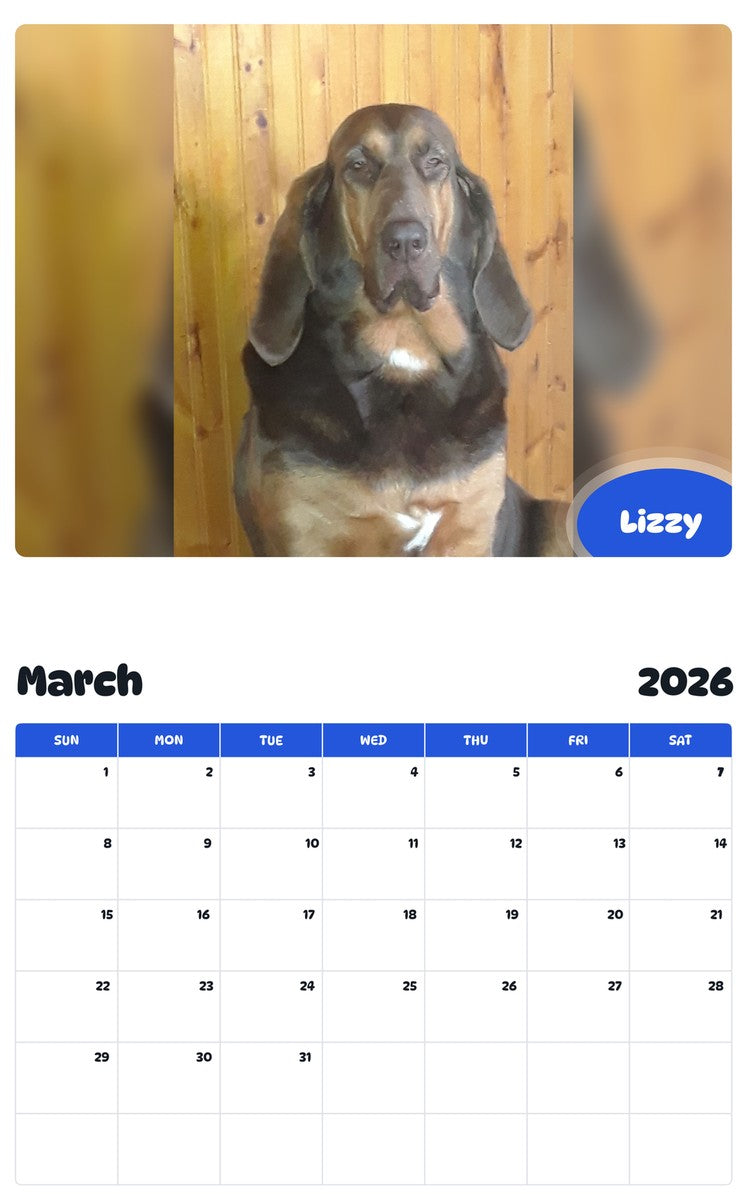 November 2025 - October 2026 Lizzy - Pawidols Pet Calendar