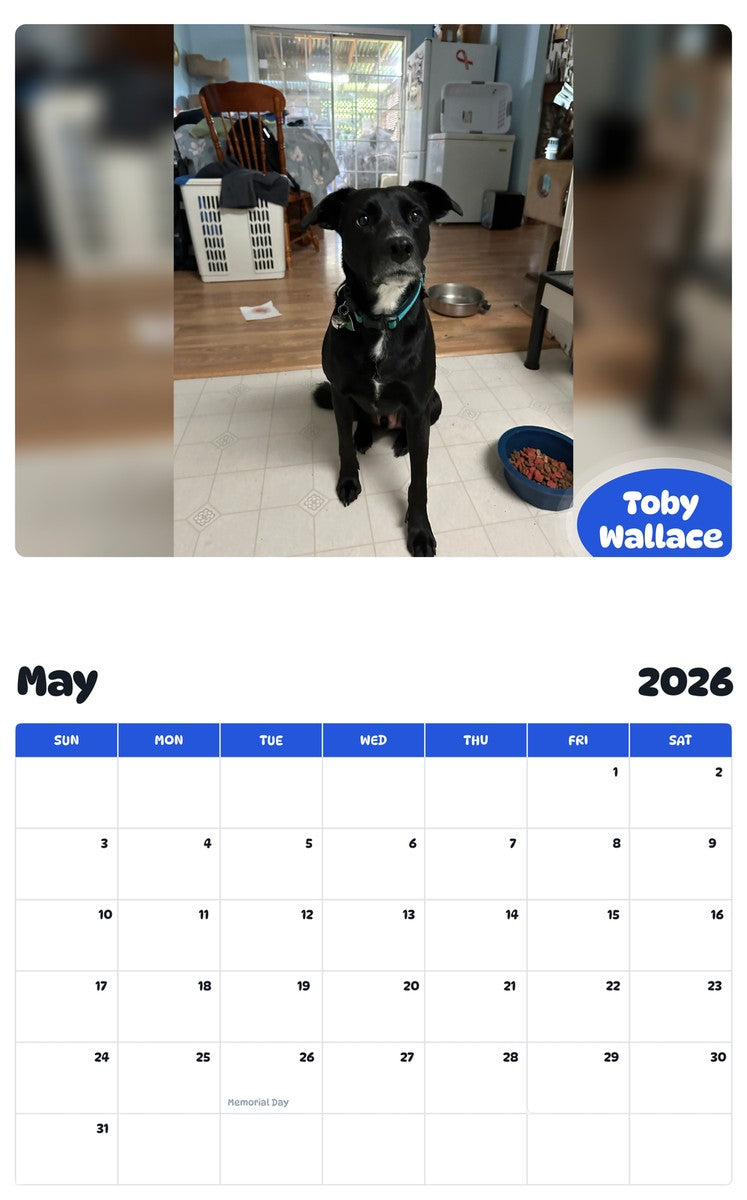 2026 - 2027 Toby Wallace - Pawidols Pet Calendar