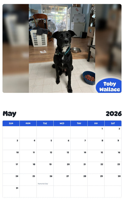 2026 - 2027 Toby Wallace - Pawidols Pet Calendar