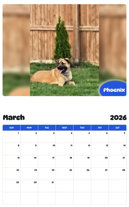 November 2025 - October 2026 Phoenix - Pawidols Pet Calendar