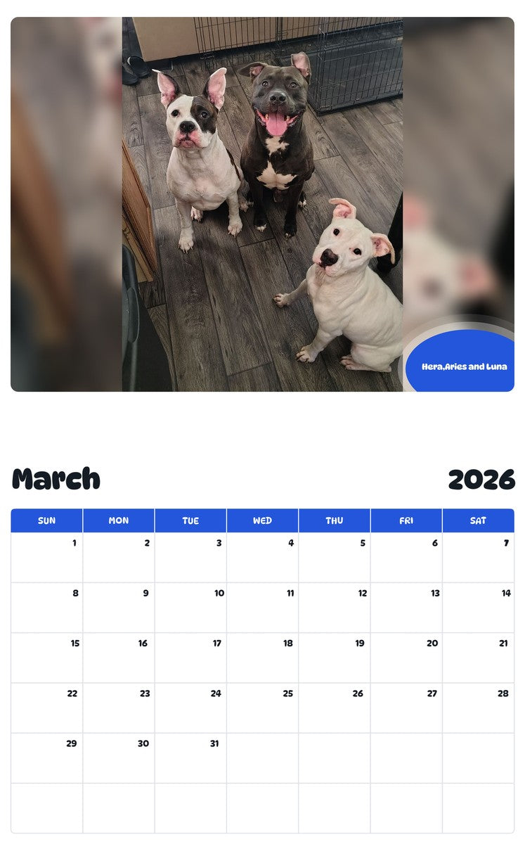 November 2025 - October 2026 Hera,Aries and Luna - Pawidols Pet Calendar